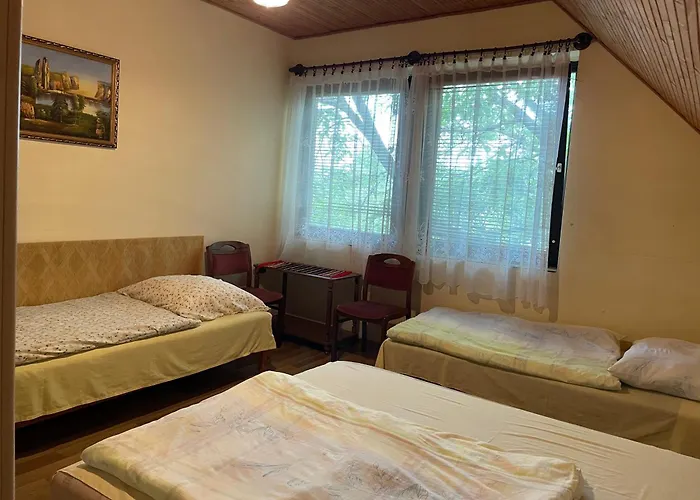 Hutter Vendeghaz Pensionat *